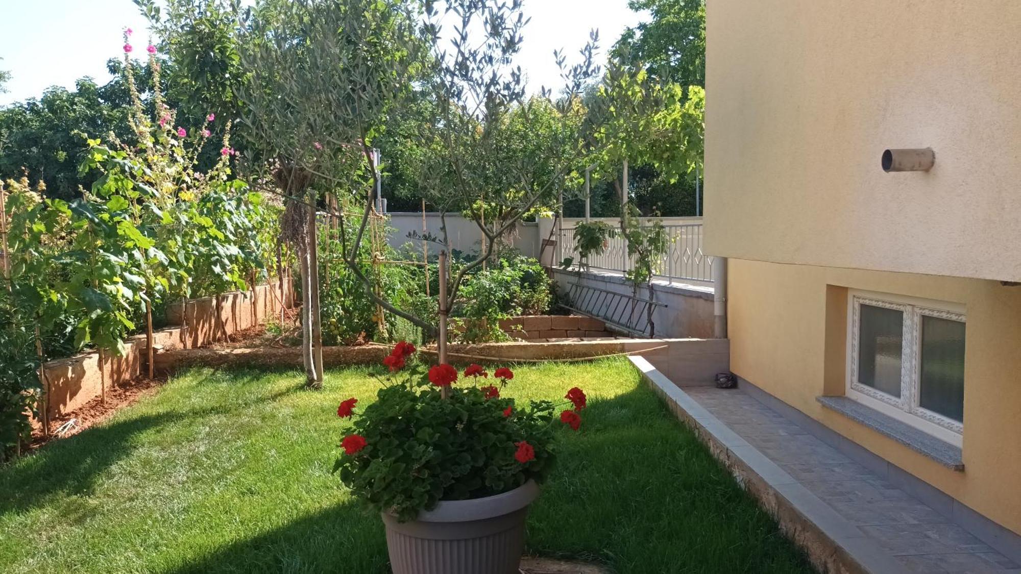 Apartments Monte Magno พูลา ภายนอก รูปภาพ